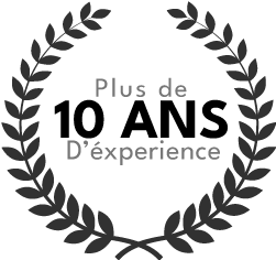 laurier stylisé célébrant l’expertise de Pro Tech 12 à Villefranche-de-Rouergue,