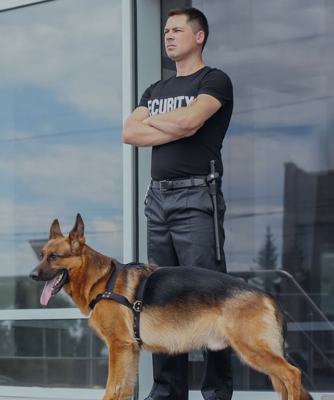 Agent Pro Tech 12 avec chien de sécurité devant un bâtiment à Villefranche-de-Rouergue,